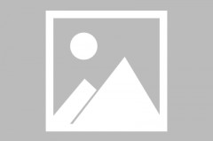 糖心logo入口观看的简单介绍